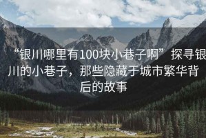 “銀川哪里有100塊小巷子啊”探尋銀川的小巷子，那些隱藏于城市繁華背后的故事