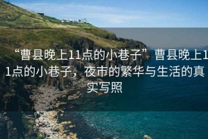 “曹縣晚上11點(diǎn)的小巷子”曹縣晚上11點(diǎn)的小巷子，夜市的繁華與生活的真實(shí)寫照