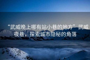 “武威晚上哪有站小巷的地方”武威夜巷，探索城市隱秘的角落