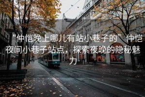 “仲愷晚上哪兒有站小巷子的”仲愷夜間小巷子站點(diǎn)，探索夜晚的隱秘魅力