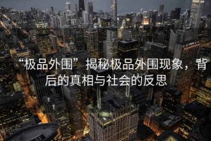 “極品外圍”揭秘極品外圍現(xiàn)象，背后的真相與社會的反思