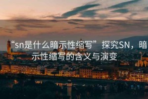 “sn是什么暗示性縮寫(xiě)”探究SN，暗示性縮寫(xiě)的含義與演變