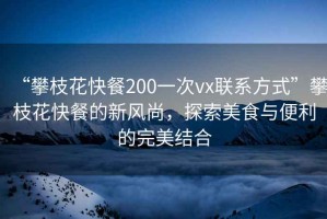 “攀枝花快餐200一次vx聯(lián)系方式”攀枝花快餐的新風(fēng)尚，探索美食與便利的完美結(jié)合