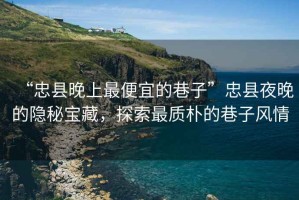 “忠縣晚上最便宜的巷子”忠縣夜晚的隱秘寶藏，探索最質(zhì)樸的巷子風情