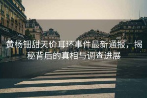 黃楊鈿甜天價(jià)耳環(huán)事件最新通報(bào)，揭秘背后的真相與調(diào)查進(jìn)展