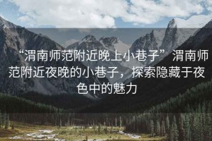 “渭南師范附近晚上小巷子”渭南師范附近夜晚的小巷子，探索隱藏于夜色中的魅力