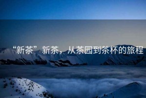 “新茶”新茶，從茶園到茶杯的旅程
