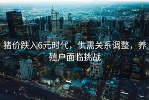 豬價跌入6元時代，供需關(guān)系調(diào)整，養(yǎng)殖戶面臨挑戰(zhàn)