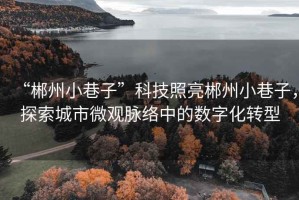 “郴州小巷子”科技照亮郴州小巷子，探索城市微觀脈絡中的數字化轉型