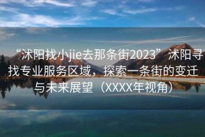 “沭陽找小jie去那條街2023”沭陽尋找專業(yè)服務(wù)區(qū)域，探索一條街的變遷與未來展望（XXXX年視角）