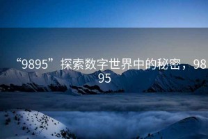 “9895”探索數(shù)字世界中的秘密，9895