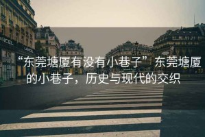“東莞塘廈有沒有小巷子”東莞塘廈的小巷子，歷史與現(xiàn)代的交織