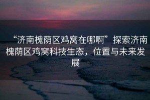 “濟(jì)南槐蔭區(qū)雞窩在哪啊”探索濟(jì)南槐蔭區(qū)雞窩科技生態(tài)，位置與未來發(fā)展