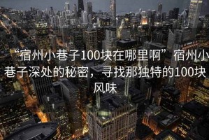 “宿州小巷子100塊在哪里啊”宿州小巷子深處的秘密，尋找那獨特的100塊風(fēng)味