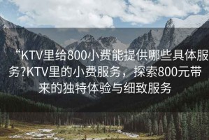 “KTV里給800小費(fèi)能提供哪些具體服務(wù)?KTV里的小費(fèi)服務(wù)，探索800元帶來的獨(dú)特體驗(yàn)與細(xì)致服務(wù)