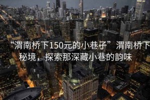 “渭南橋下150元的小巷子”渭南橋下秘境，探索那深藏小巷的韻味