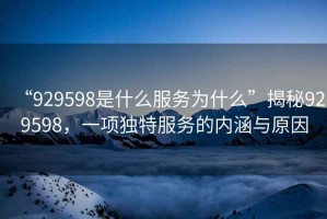 “929598是什么服務為什么”揭秘929598，一項獨特服務的內涵與原因