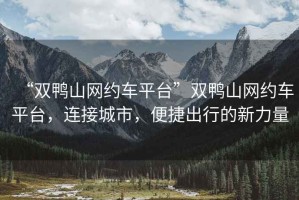 “雙鴨山網(wǎng)約車平臺”雙鴨山網(wǎng)約車平臺，連接城市，便捷出行的新力量