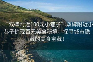 “雙碑附近100元小巷子”雙碑附近小巷子驚現(xiàn)百元美食秘境，探尋城市隱藏的美食寶藏！