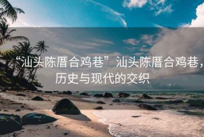 “汕頭陳厝合雞巷”汕頭陳厝合雞巷，歷史與現(xiàn)代的交織