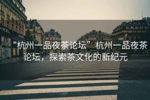 “杭州一品夜茶論壇”杭州一品夜茶論壇，探索茶文化的新紀元