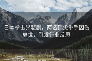 日本拳擊界悲劇，兩名頂尖拳手因傷離世，引發(fā)行業(yè)反思