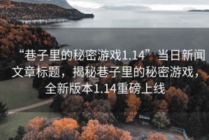“巷子里的秘密游戲1.14”當(dāng)日新聞文章標(biāo)題，揭秘巷子里的秘密游戲，全新版本1.14重磅上線