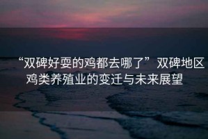 “雙碑好耍的雞都去哪了”雙碑地區(qū)雞類養(yǎng)殖業(yè)的變遷與未來展望