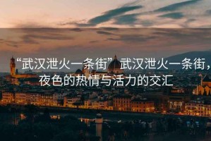 “武漢泄火一條街”武漢泄火一條街，夜色的熱情與活力的交匯
