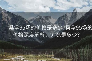 “桑拿95場(chǎng)的價(jià)格是多少?桑拿95場(chǎng)的價(jià)格深度解析，究竟是多少？