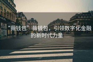 “薇錢包”薇錢包，引領(lǐng)數(shù)字化金融的新時(shí)代力量