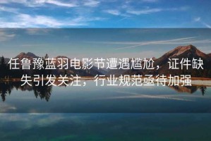 任魯豫藍羽電影節(jié)遭遇尷尬，證件缺失引發(fā)關注，行業(yè)規(guī)范亟待加強
