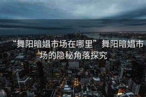 “舞陽暗娼市場在哪里”舞陽暗娼市場的隱秘角落探究