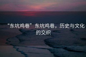 “東坑雞巷”東坑雞巷，歷史與文化的交織