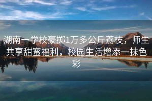 湖南一學校豪擲1萬多公斤荔枝，師生共享甜蜜福利，校園生活增添一抹色彩