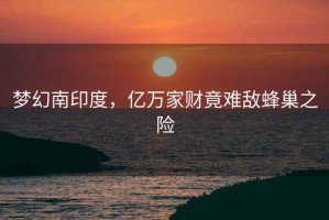 夢幻南印度，億萬家財竟難敵蜂巢之險