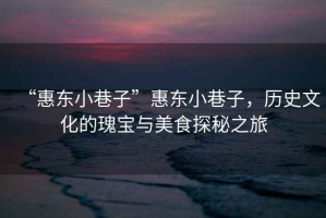 “惠東小巷子”惠東小巷子，歷史文化的瑰寶與美食探秘之旅
