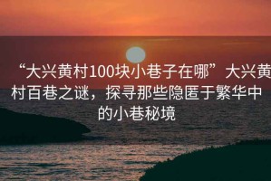 “大興黃村100塊小巷子在哪”大興黃村百巷之謎，探尋那些隱匿于繁華中的小巷秘境