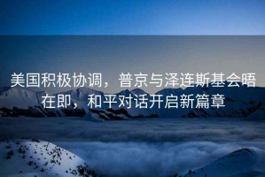 美國(guó)積極協(xié)調(diào)，普京與澤連斯基會(huì)晤在即，和平對(duì)話開(kāi)啟新篇章