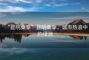 “昆明桑拿”昆明桑拿，城市熱浪中的綠洲