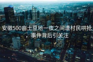 安徽500畝土豆地一夜之間遭村民哄搶，事件背后引關注