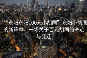 “東陽東陽100元小胡同”東陽小胡同的新篇章，一場關(guān)于百元胡同的奇跡與變遷