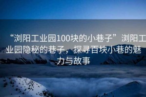 “瀏陽(yáng)工業(yè)園100塊的小巷子”瀏陽(yáng)工業(yè)園隱秘的巷子，探尋百塊小巷的魅力與故事