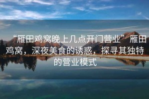 “雁田雞窩晚上幾點開門營業(yè)”雁田雞窩，深夜美食的誘惑，探尋其獨特的營業(yè)模式