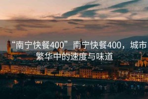“南寧快餐400”南寧快餐400，城市繁華中的速度與味道