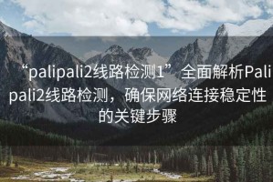 “palipali2線路檢測1”全面解析Palipali2線路檢測，確保網(wǎng)絡(luò)連接穩(wěn)定性的關(guān)鍵步驟