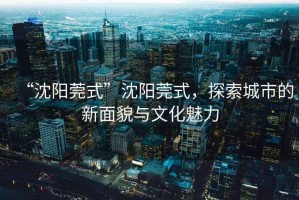 “沈陽莞式”沈陽莞式，探索城市的新面貌與文化魅力