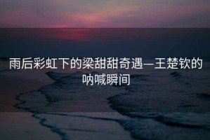 雨后彩虹下的梁甜甜奇遇—王楚欽的吶喊瞬間