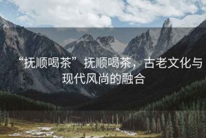 “撫順喝茶”撫順喝茶，古老文化與現(xiàn)代風(fēng)尚的融合