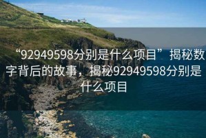 “92949598分別是什么項(xiàng)目”揭秘?cái)?shù)字背后的故事，揭秘92949598分別是什么項(xiàng)目